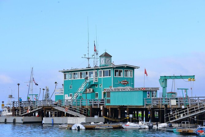 Catalina Express: San Pedro to Avalon One-Way Ferry - Who Should Book This Ferry