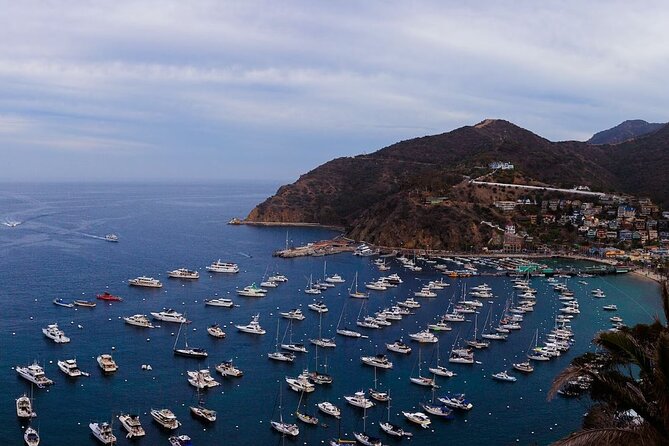 Catalina Island Ferry Avalon to Newport Beach - Key points to know before sailing