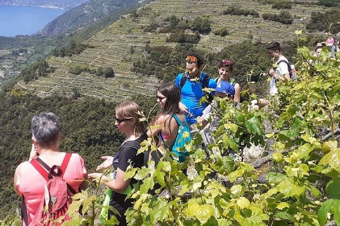 Cinque Terre by train and boat (no ferries in winter) - Guide style and what to expect from Veronica