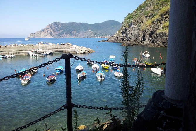 Cinque Terre Private Tour by Minivan and Ferry-Boat Shore excursion from Livorno - What the private guide adds