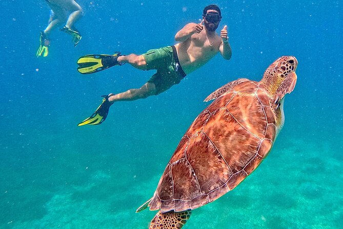 Culebra Swim with Turtles Adventure and Flamenco Beach by Ferry - Starting at Ceiba Ferry Terminal
