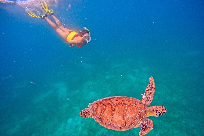 Culebra Swim with Turtles Adventure and Flamenco Beach by Ferry - Tamarindo Beach and the turtle snorkeling