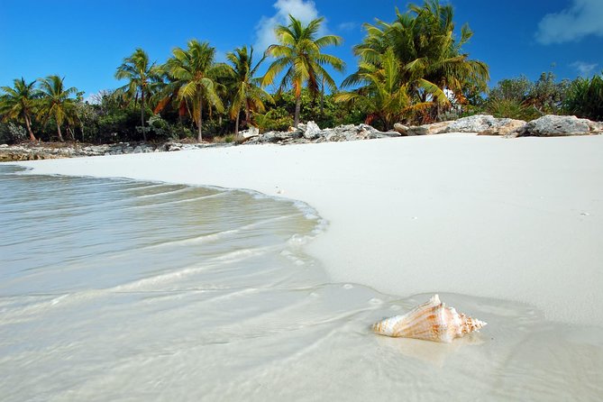 Day Trip to Bimini, Bahamas - Ferry Tickets - Passports, luggage, and practical rules