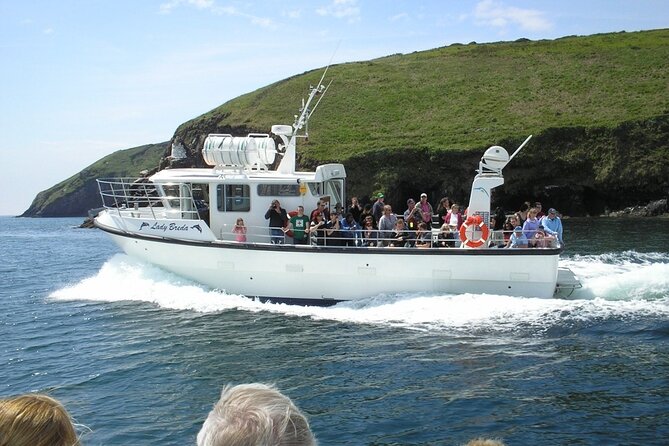 Dingle to Blasket Island Ferry - Wildlife, scenery, and the value of a sea view