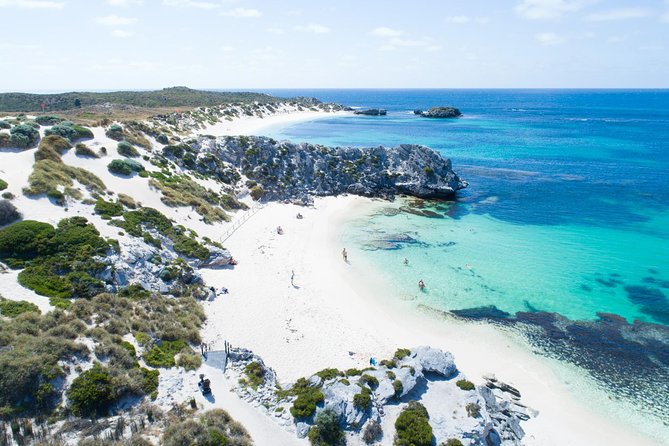 Discover Rottnest with Ferry & Bus Tour - Key points to know before booking