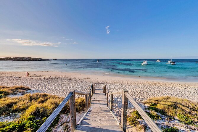 Discover Rottnest with Ferry & Bus Tour - West End and Cathedral Rocks
