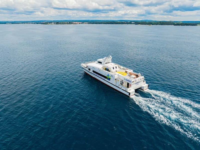 Dubrovnik to/from Kotor: Day Trip or One-Way by Fast Ferry - Why the ferry beats a road transfer