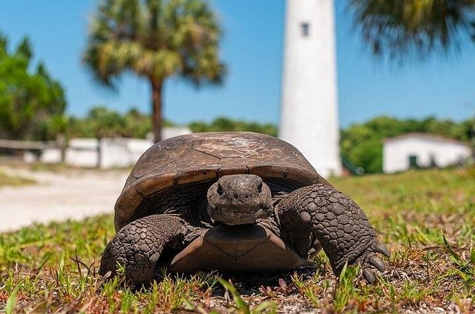 Egmont Key Ferry from Ft. DeSoto Park - Weather, booking, and cancellation details