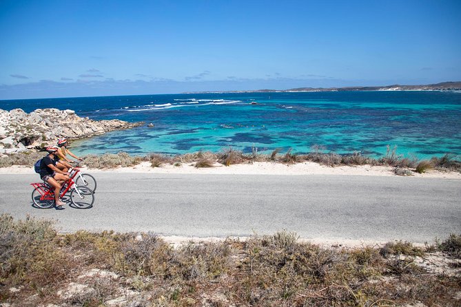 Experience Rottnest with Ferry & Bike Hire - Why Rottnest works so well as a self-guided day