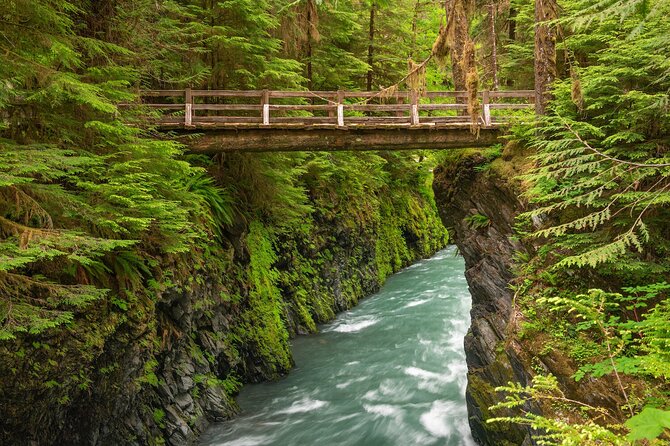 Explore Olympic National Park from Seattle through Van /Ferry - The Lake Crescent and Marymere Falls stop
