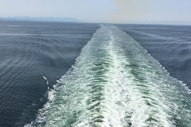 Explore Olympic National Park from Seattle through Van /Ferry - Is $335 a fair price?