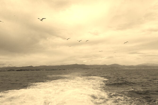 Ferry Benalmádena <> Fuengirola - From the Buddhist stupa to Torre de Torremuelle
