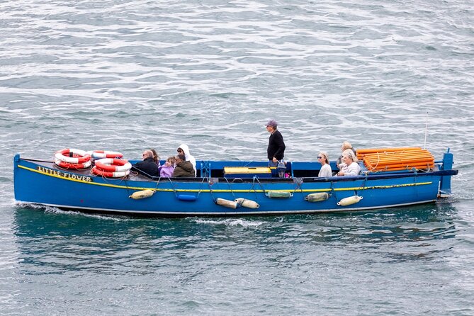 Ferry to Ireland's Eye in Howth - Puffins, Gannets, Seals, and the Reality of Wildlife