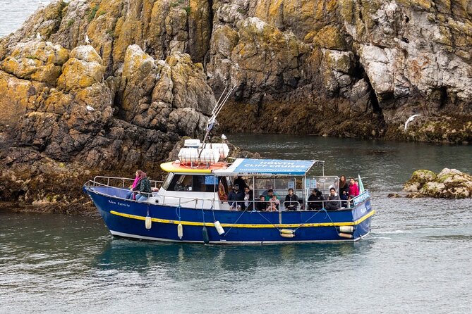 Ferry to Ireland's Eye in Howth - Who Will Enjoy This Ferry Most?