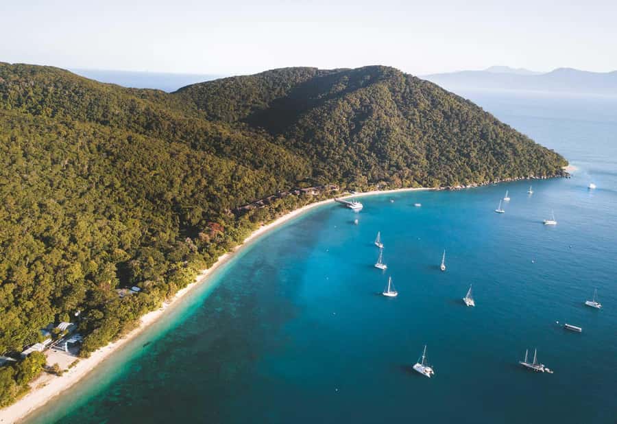 Fitzroy Island: Full-Day Ferry & Snorkel Safari Guided Tour - Key points to know before you book
