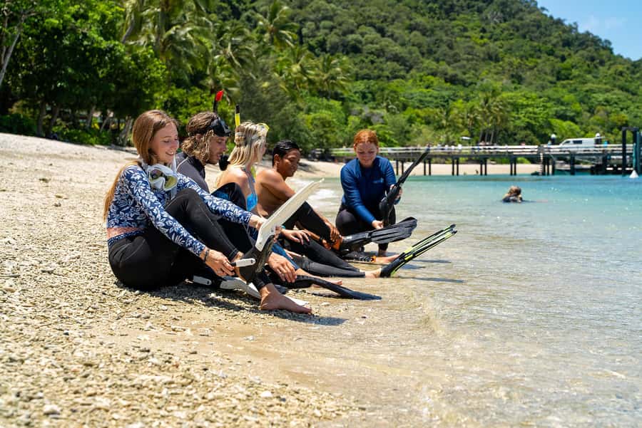 Fitzroy Island: Full-Day Ferry & Snorkel Safari Guided Tour - The return ferry at 5:00 PM