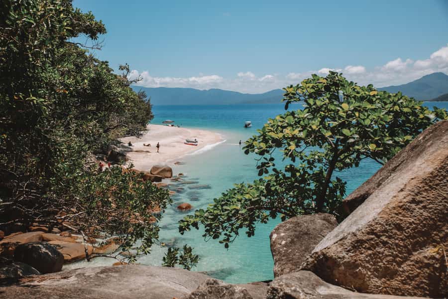 Fitzroy Island: Full-Day Ferry & Snorkel Safari Guided Tour - Who should book this experience