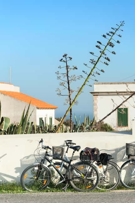 Formentera: discover our fast ferry + bike package - Key details before you book