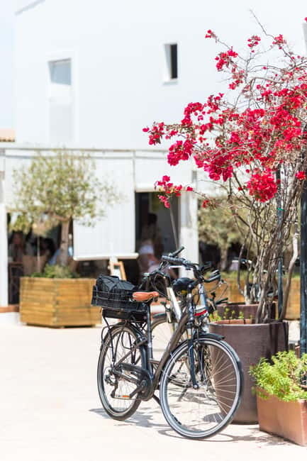 Formentera: discover our fast ferry + bike package - What a day by bike lets you see