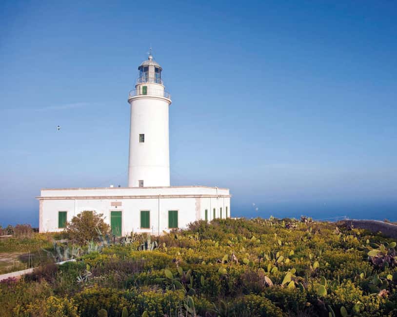 Formentera: discover our fast ferry + electric bike package. - Starting at Ibiza port with plenty of sailing choices