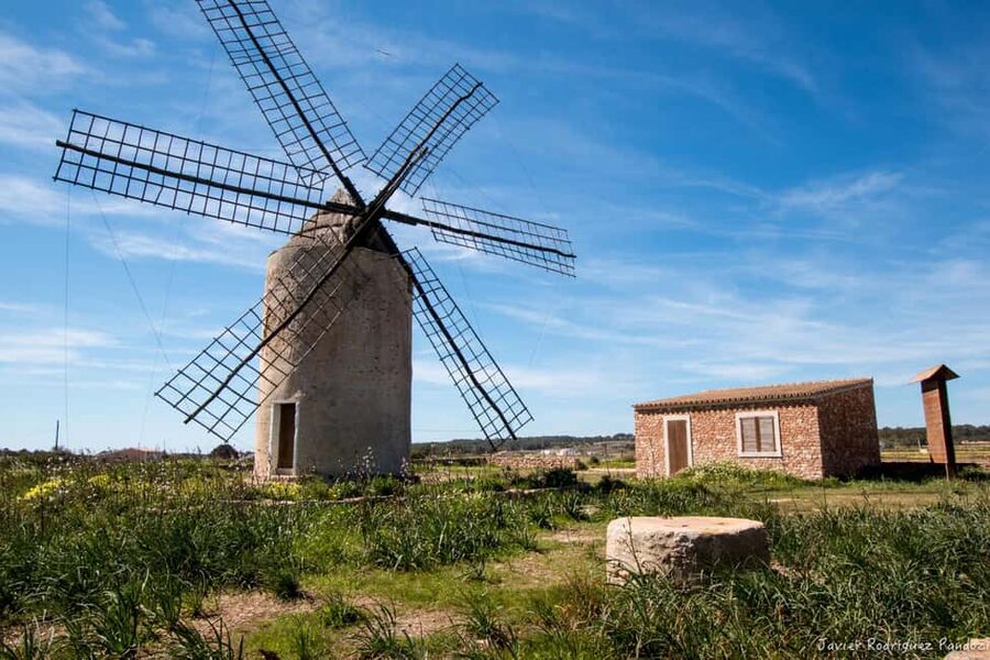 Formentera: discover our fast ferry + electric bike package. - Coves, villages, and the value of traveling slowly