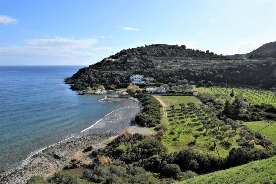 From Athens: Aegina Island E-Bike Tour with Ferry Tickets - Why this Aegina trip feels different from a standard day tour