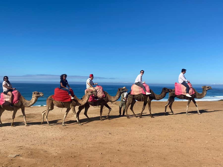 From Cádiz Bay: Tangier Day Trip with Ferry & Local Guide - Pickup from Cádiz Shore and the road to the ferry