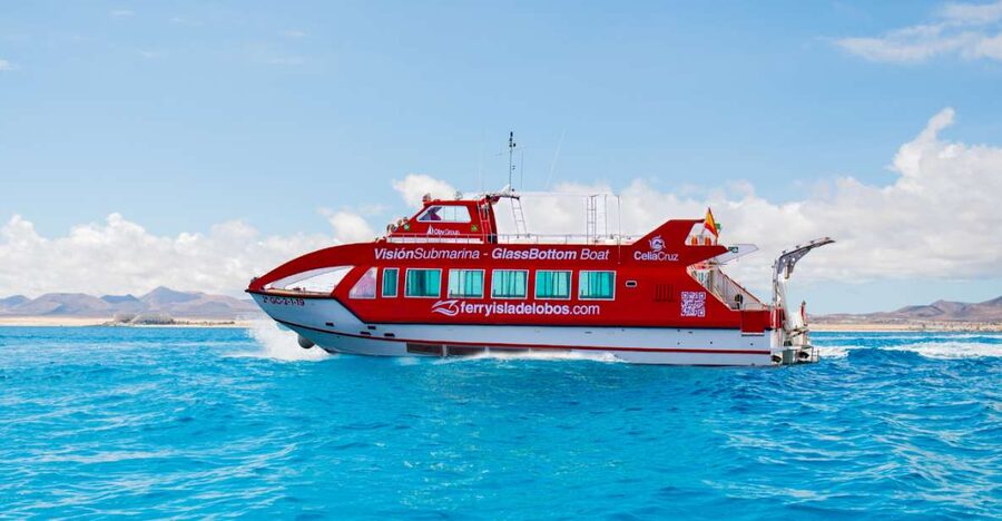 From Caleta de Fuste: Return Bus and Ferry to Lobos Island - Key points to know before you book