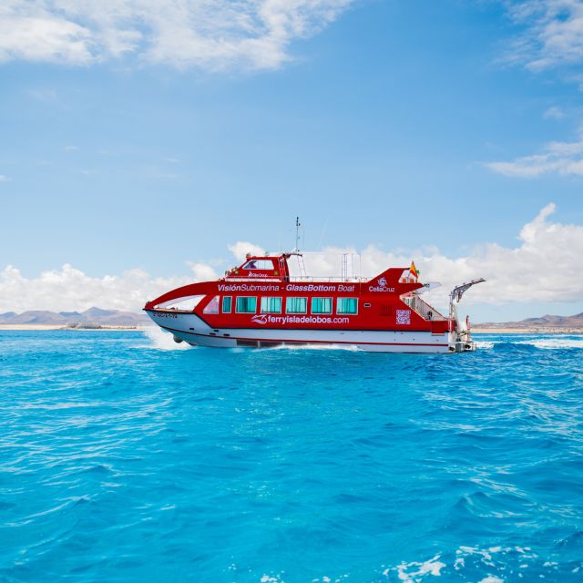 From Caleta de Fuste: Return Bus and Ferry to Lobos Island - Four hours to choose your own Lobos route