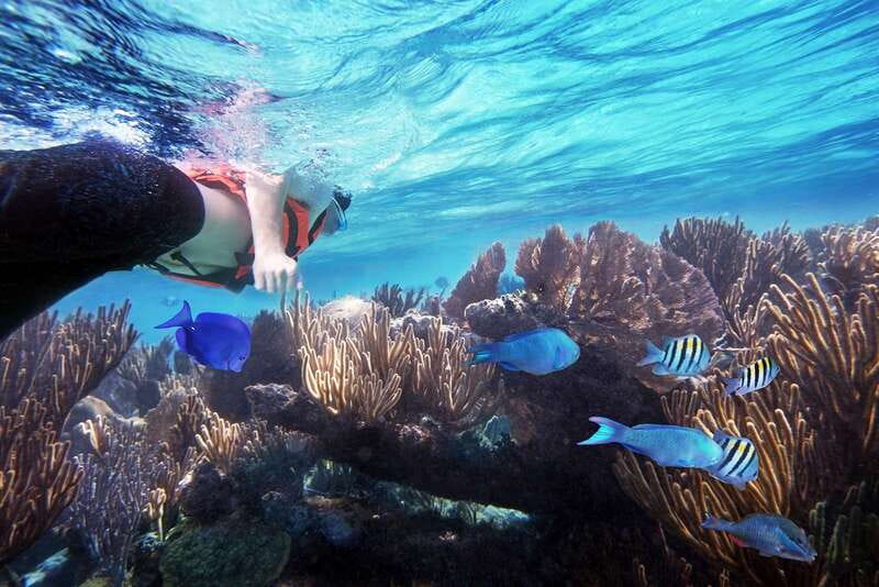 From Cancun: Garrafon Reef Park Admission with Ferry Tickets - Key points to know before booking