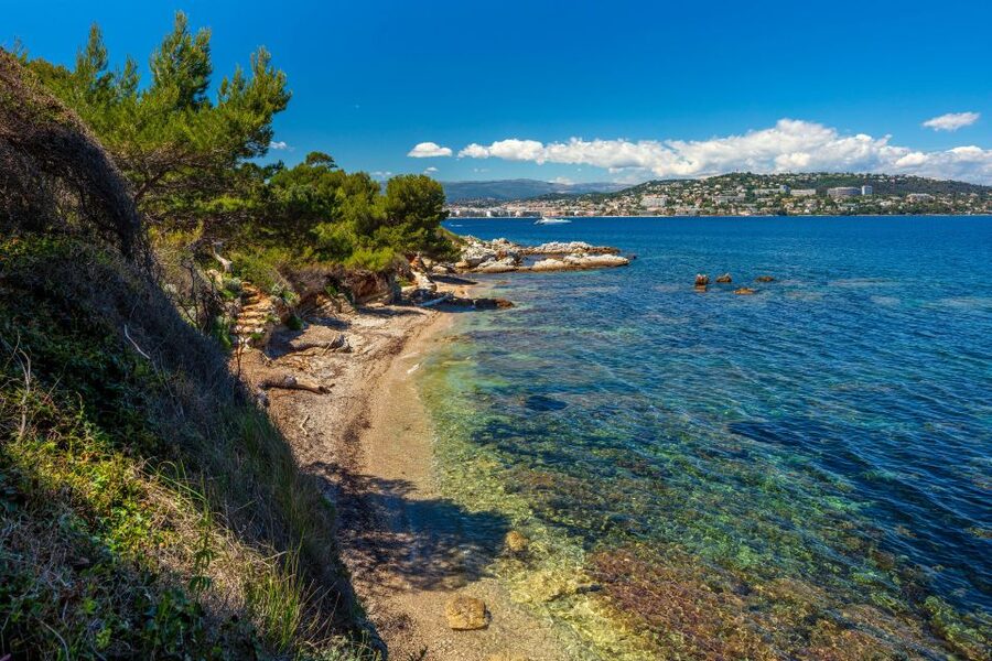 From Cannes: Round-Trip Ferry to Ste. Marguerite Island - Batéguier Pond and the Pointe de la Convention