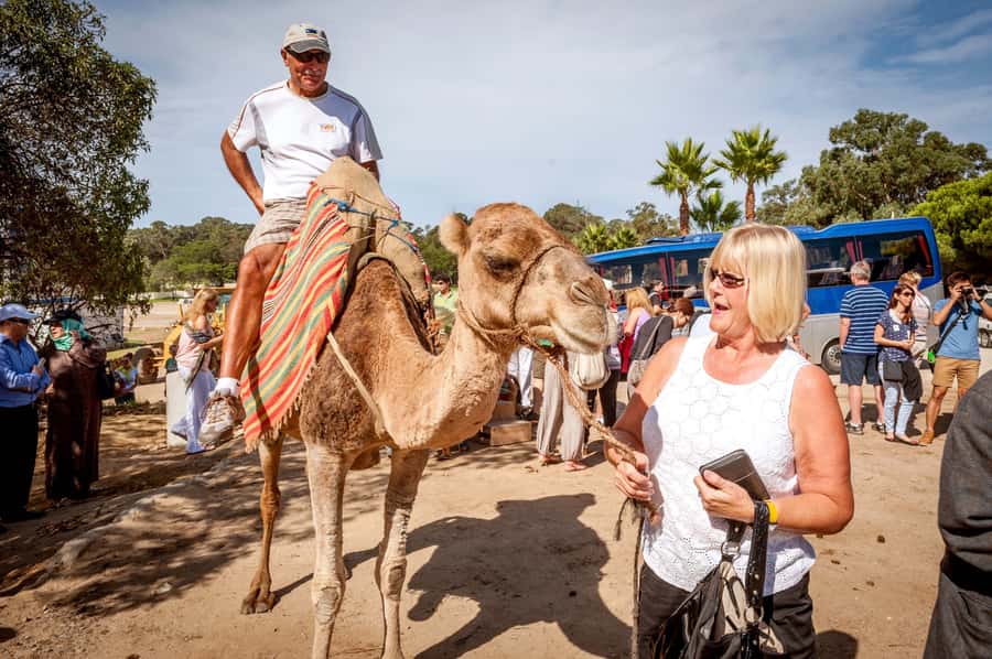 From Costa del Sol: Tangier Full-Day Tour by Ferry - From Costa del Sol to Tarifa: An Early Start