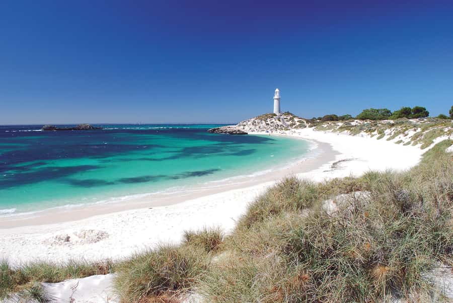 From Fremantle: Rottnest Island Ferry and Bike Day Tour - The Basin and the south coast bays