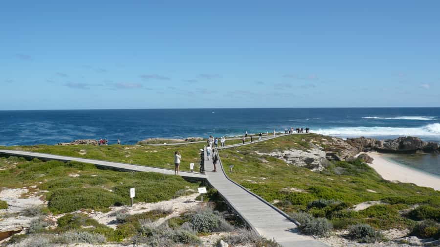 From Fremantle: Rottnest Island Ferry & Bus Day Tour - Why this Fremantle departure works well