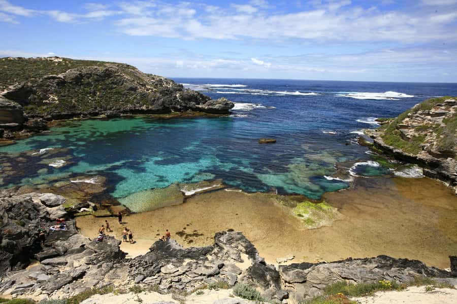From Fremantle: Rottnest Island Ferry & Bus Day Tour - Wadjemup Lighthouse, beaches, and coastal views