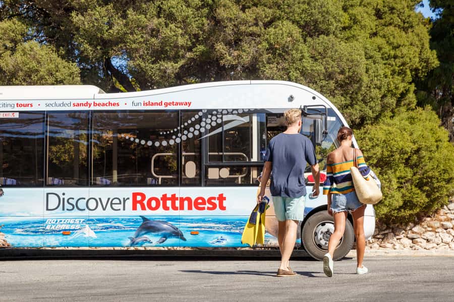 From Fremantle: Rottnest Island Ferry & Bus Day Tour - Quokkas and the right expectations
