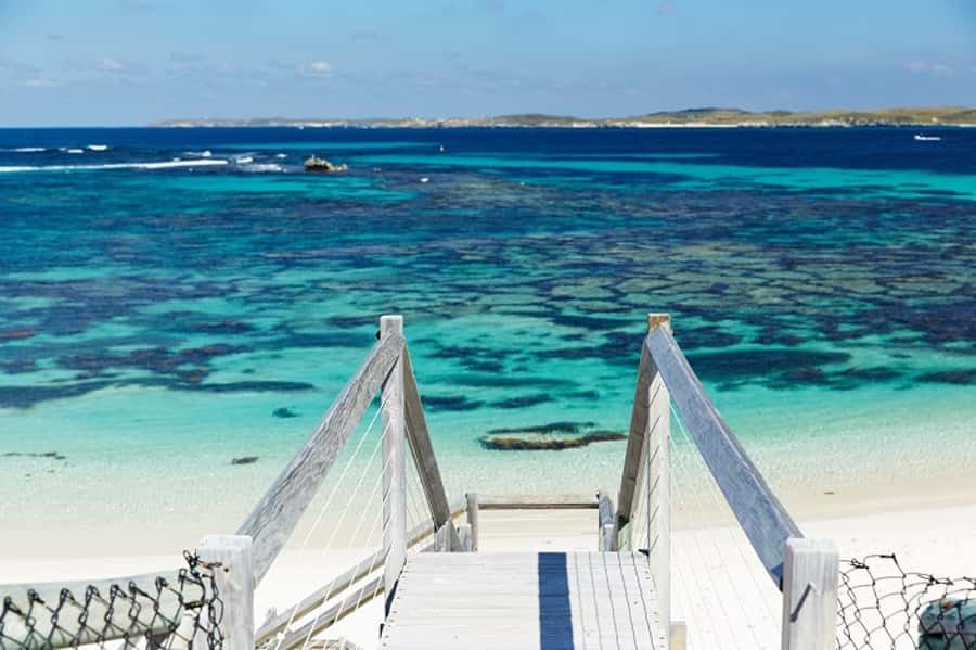 From Fremantle: Rottnest Island Ferry & Bus Day Tour - Culture, memory, and the quality of the commentary