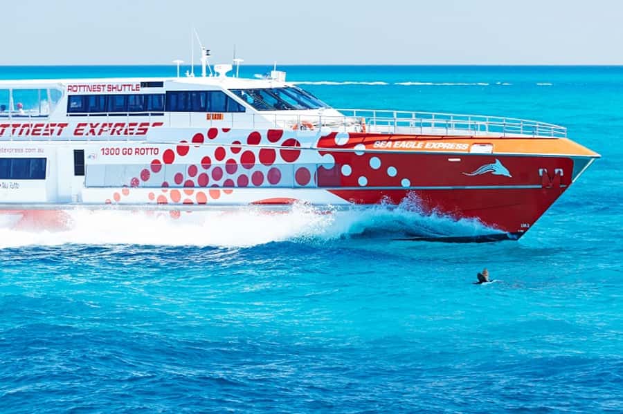 From Fremantle: Rottnest Island Ferry & Bus Day Tour - The 90-minute coach circuit around Rottnest