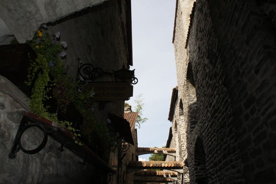 From Helsinki: Luxury Trip to Tallinn Ferry +VIP Car - Three hours among Tallinn’s medieval streets