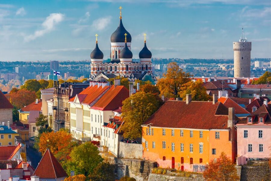 From Helsinki: Tallinn Guided Full-Day Tour by Ferry - Getting between Tallinn port and the Old Town