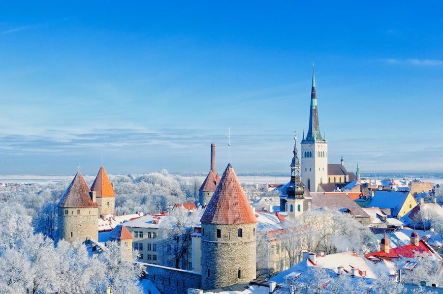 From Helsinki: Tallinn Guided Full-Day Tour by Ferry - Town Hall Square and Tallinn’s old street plan