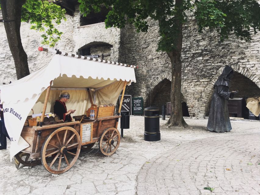 From Helsinki: Tallinn with Round-Trip Ferry & Guided Tour - The ferry from Helsinki to Tallinn