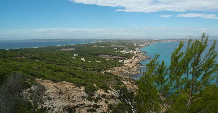 From Ibiza: Ferry and Guided Bus Excursion in Formentera - Why Formentera works well as a day trip from Ibiza