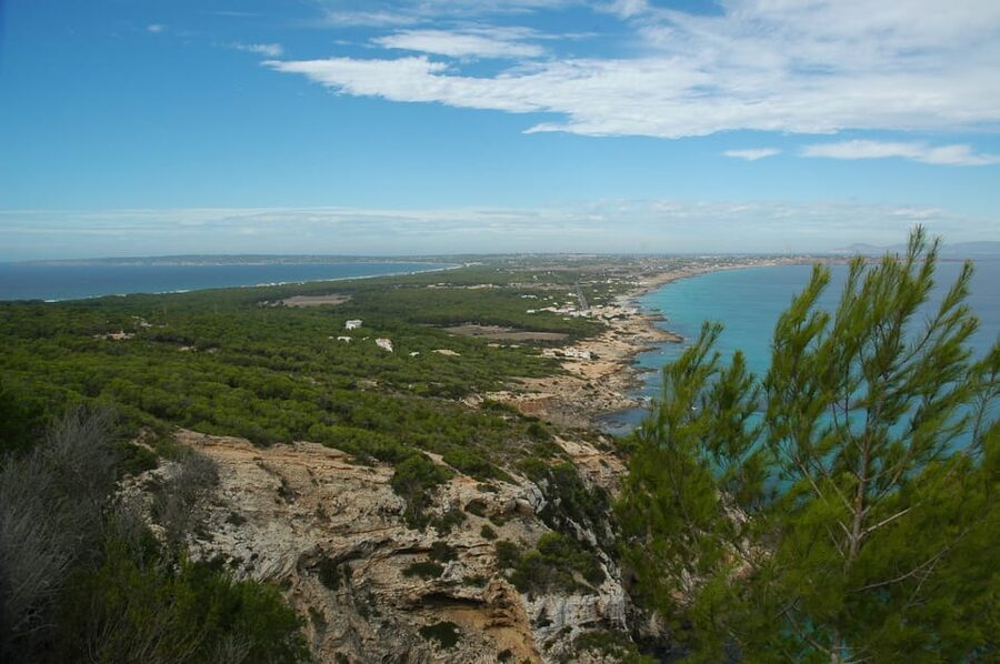 From Ibiza: Ferry and Guided Bus Excursion in Formentera - The ferry to La Savina sets the rhythm