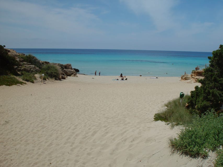 From Ibiza: Ferry and Guided Bus Excursion in Formentera - The Mirador offers the broadest island view
