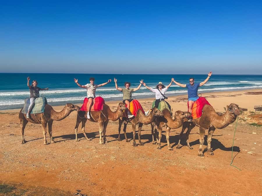 From Malaga: Tangier Day Trip with Ferry, Camel & Souks - A very full day from Malaga to Morocco