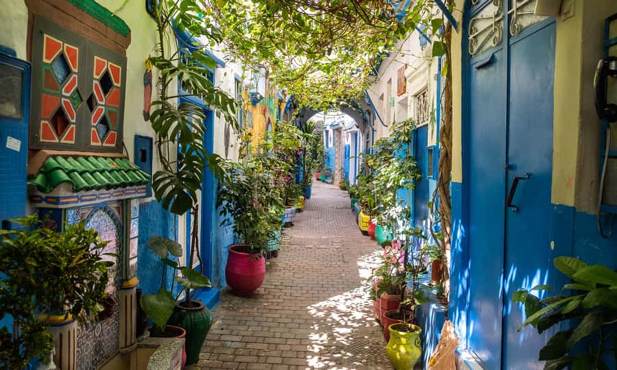 From Malaga: Tangier Private Day Trip with Ferry Tickets - What $769 per person really buys