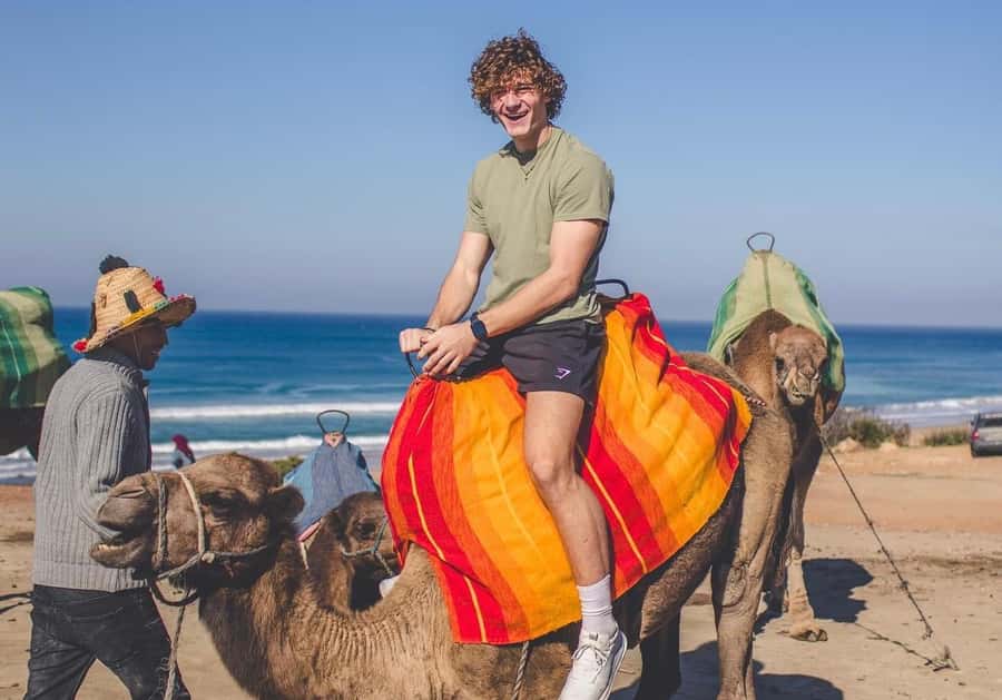 From Marbella: Tangier Day Trip with Ferry, Camel & Souks - Key Points To Know Before You Go