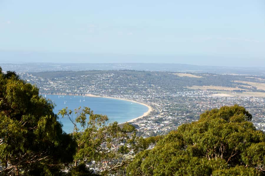 From Melbourne: Bay Sightseeing and Ferry Ride with Lunch - Lunch on the Bay
