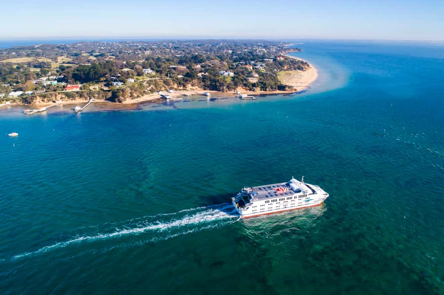 From Melbourne: Bay Sightseeing and Ferry Ride with Lunch - Narana Brings Art and Wildlife Together